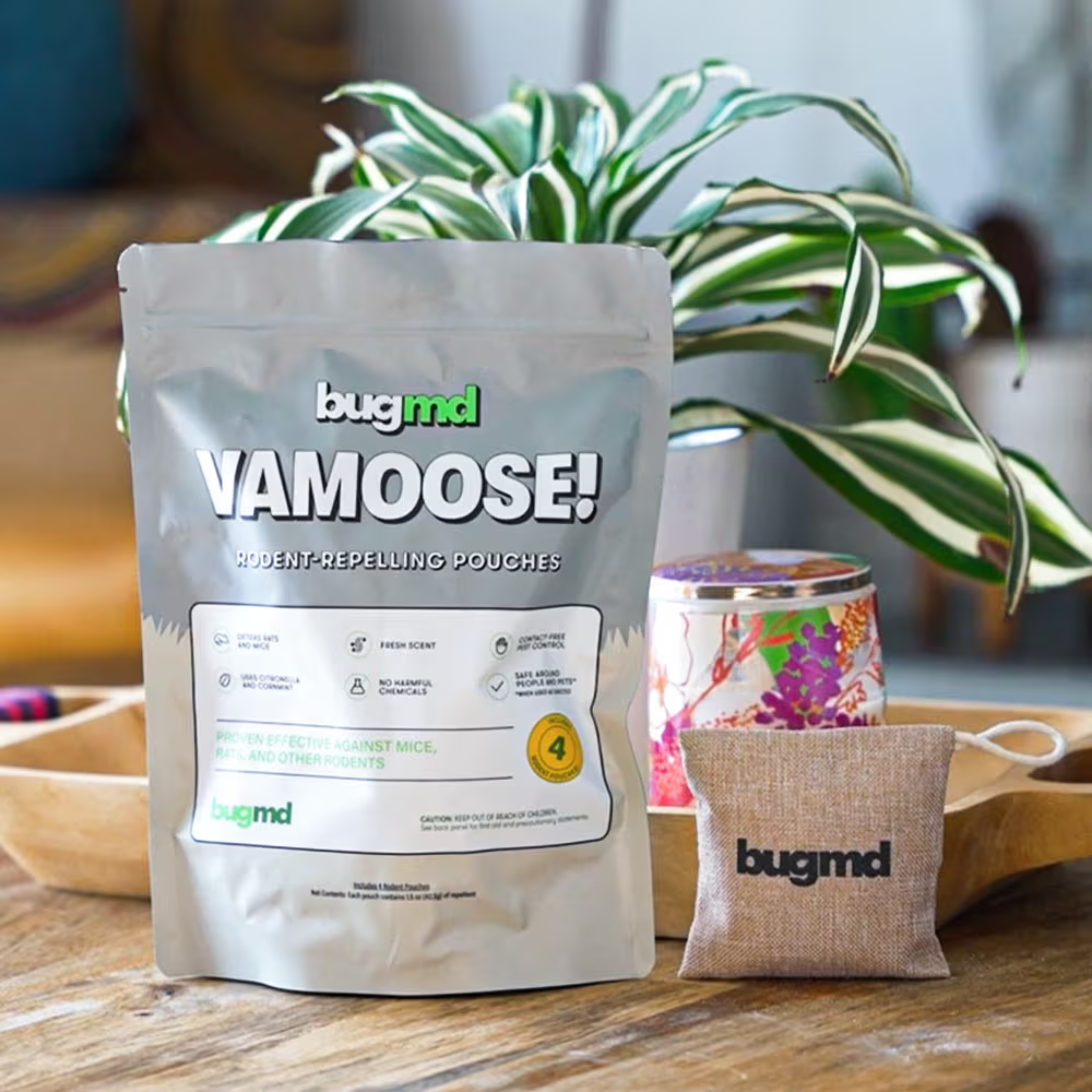 vamoose reviews Lisa M.